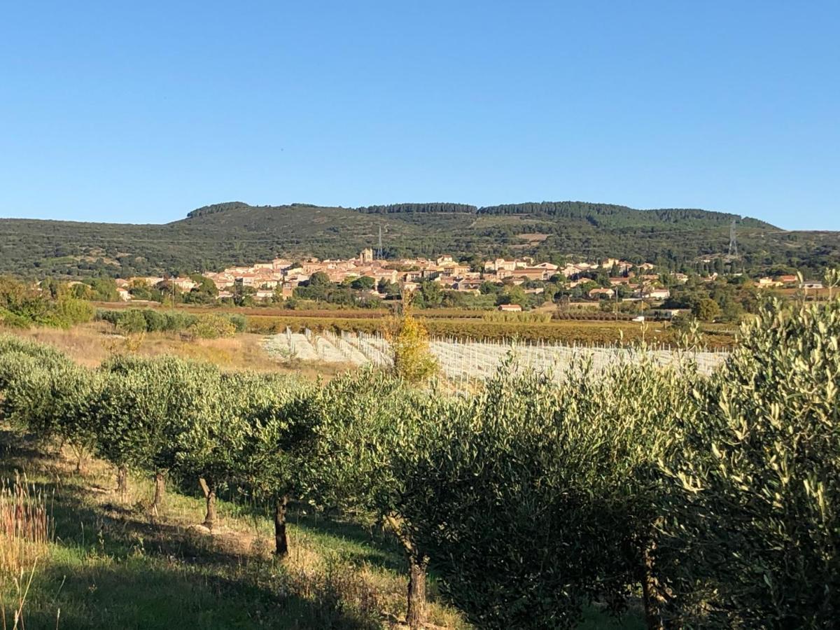 Val Des Bruyeres - Gite 15Mn Pezenas Avec Terrasse Et Cour Close - Parking Privatif Securise - Wifi Ftth Gratuit Neffies Екстериор снимка