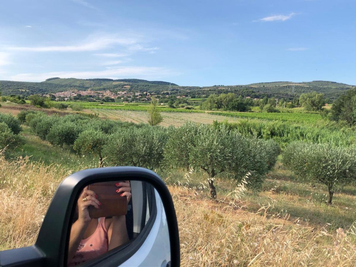 Val Des Bruyeres - Gite 15Mn Pezenas Avec Terrasse Et Cour Close - Parking Privatif Securise - Wifi Ftth Gratuit Neffies Екстериор снимка
