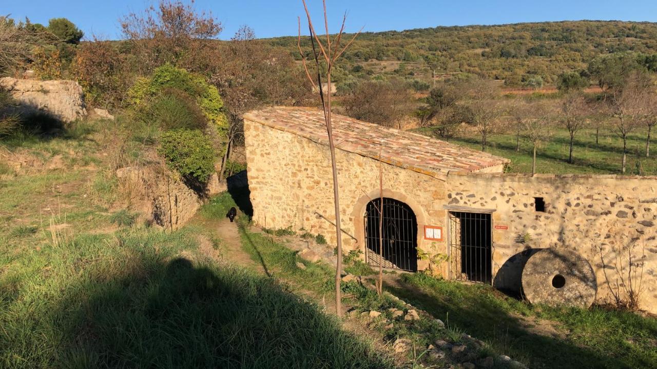Val Des Bruyeres - Gite 15Mn Pezenas Avec Terrasse Et Cour Close - Parking Privatif Securise - Wifi Ftth Gratuit Neffies Екстериор снимка